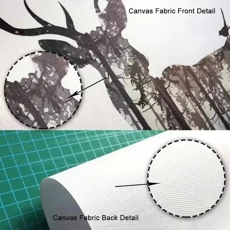 (No frame)2D Flat, 2D Flat, Wa - đánh giá và giá Canvas Wrap Ready
